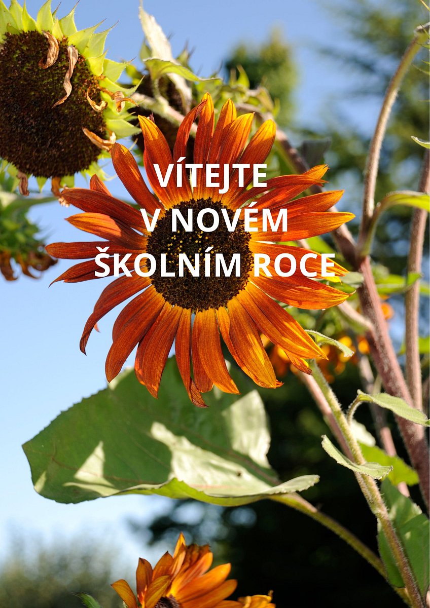 Vítejte