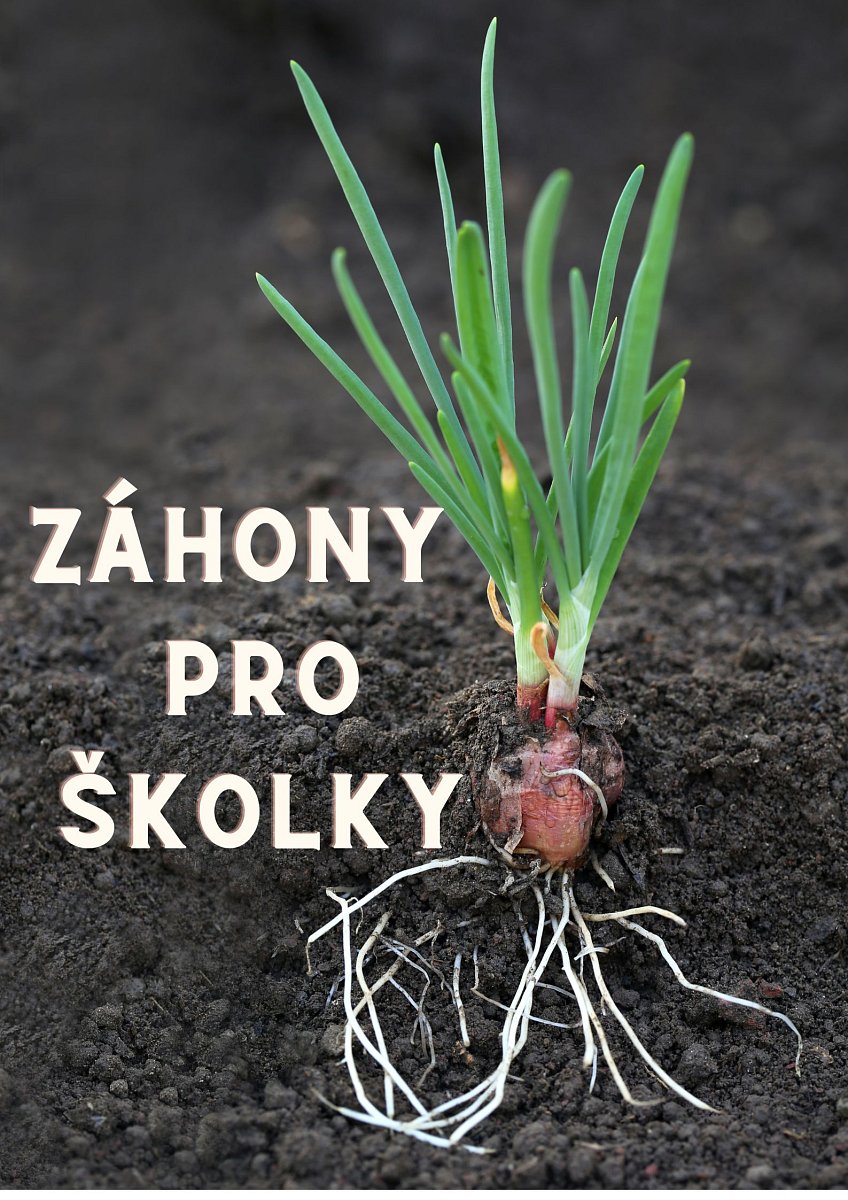 Záhony pro školky.jpg