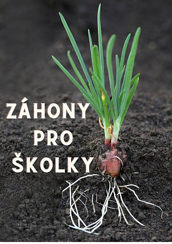 Záhony pro školky